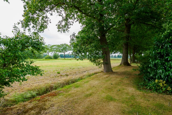 Foto 60 van Dalkruid 14