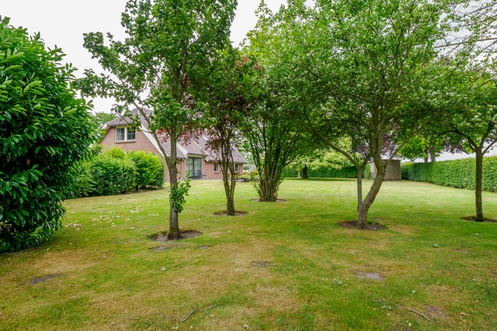 Foto 61 van Dalkruid 14