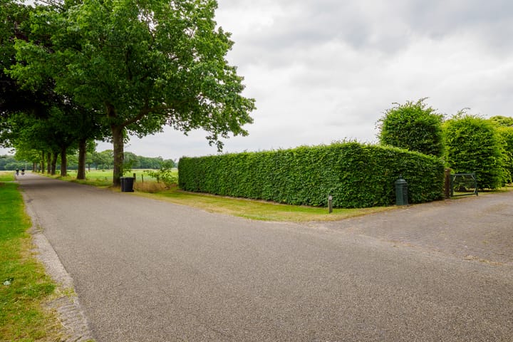 Foto 66 van Dalkruid 14