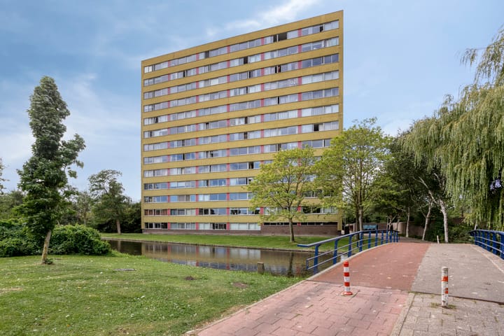 Foto 5 van Boeierstraat 307