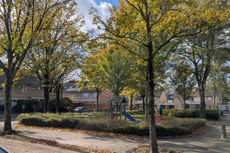 Liesbergstraat 19 tertiary image