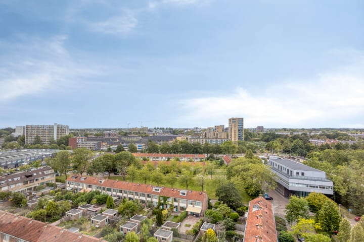 Foto 13 van Boeierstraat 307