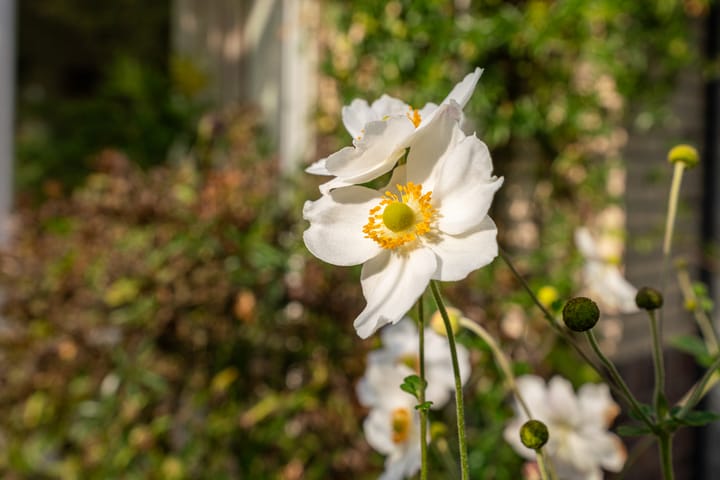 Foto 57 van Waterbospark 81