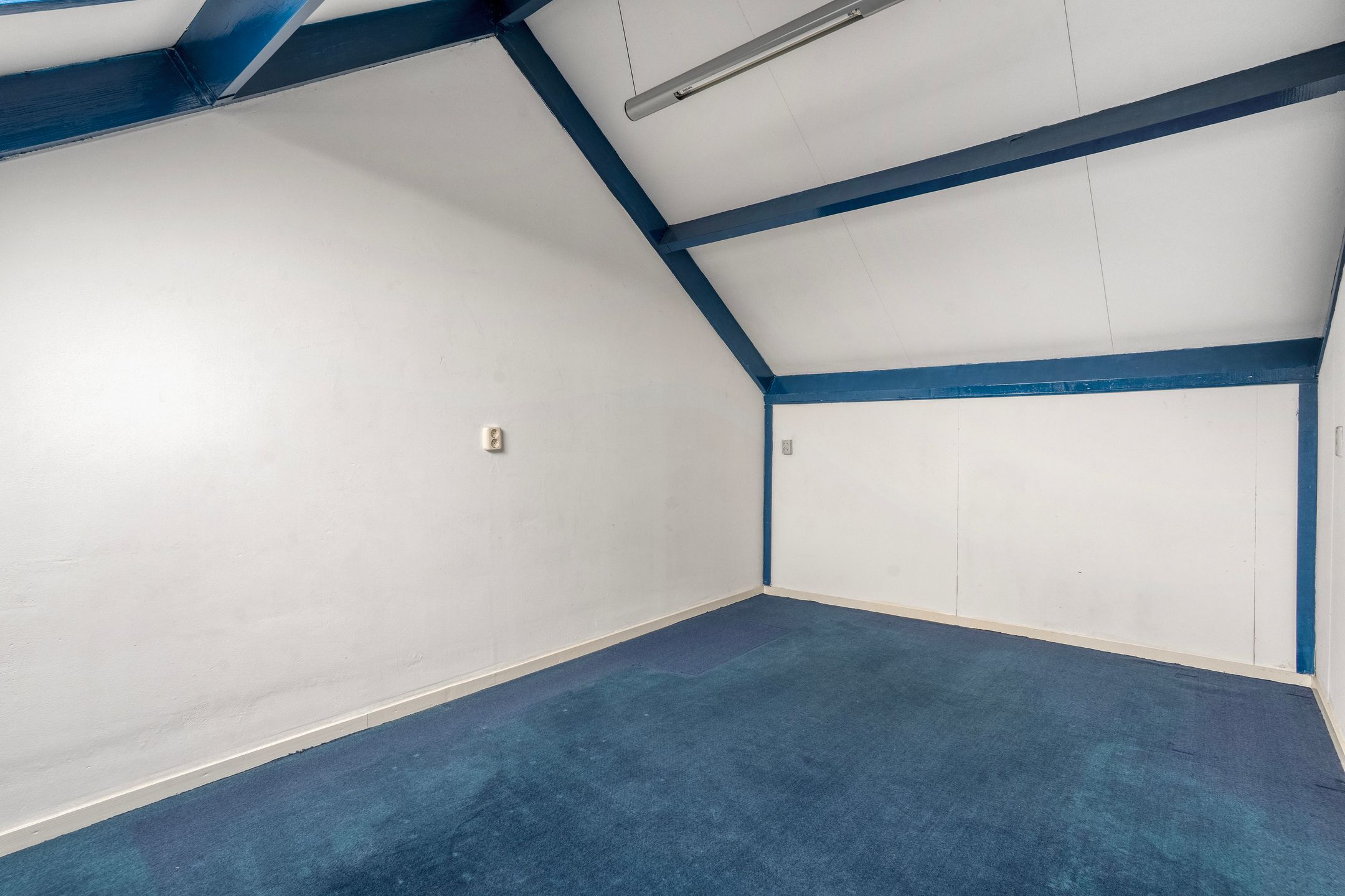 Photo 36 of Reiger 96