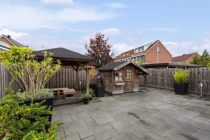 Foto 14 van Limes 25