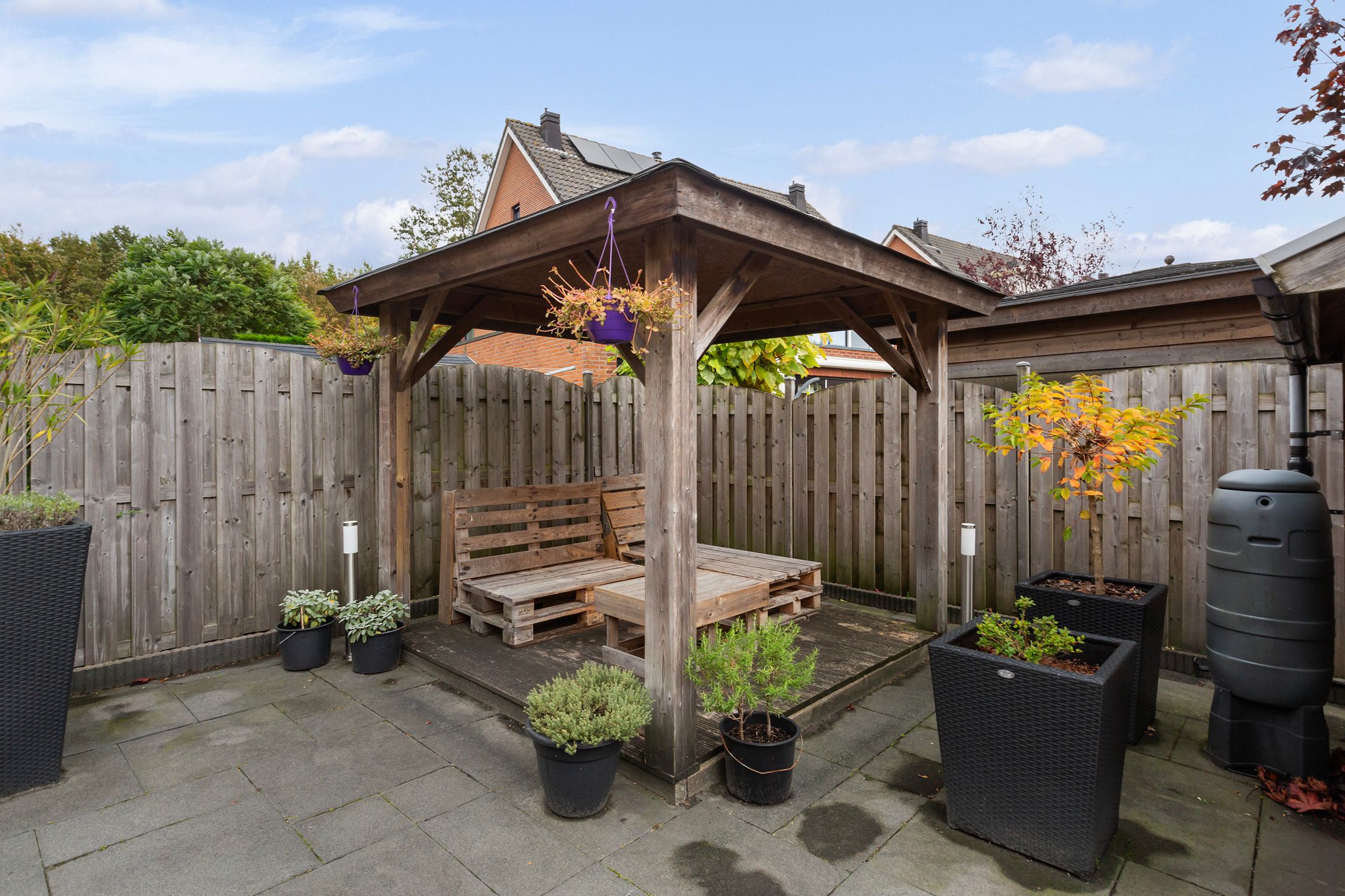 Photo 15 of Limes 25