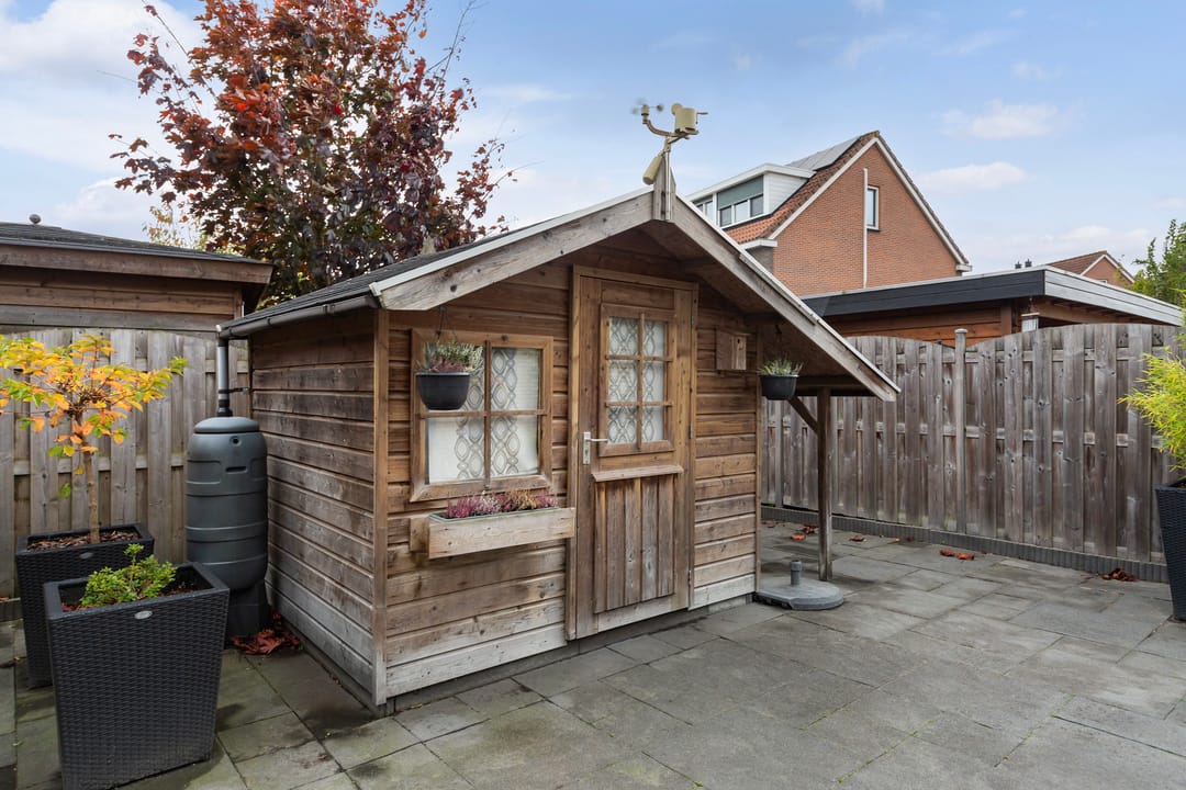 Photo 16 of Limes 25