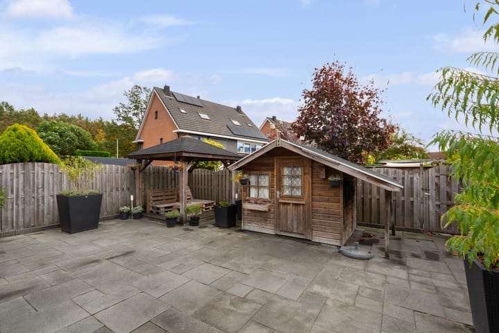 Foto 17 van Limes 25