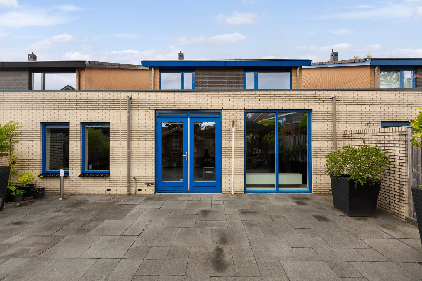 Photo 19 of Limes 25