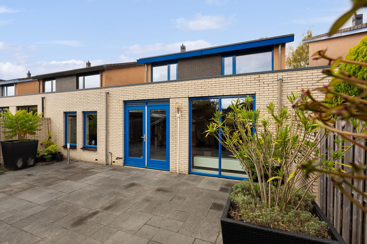 Photo 20 of Limes 25