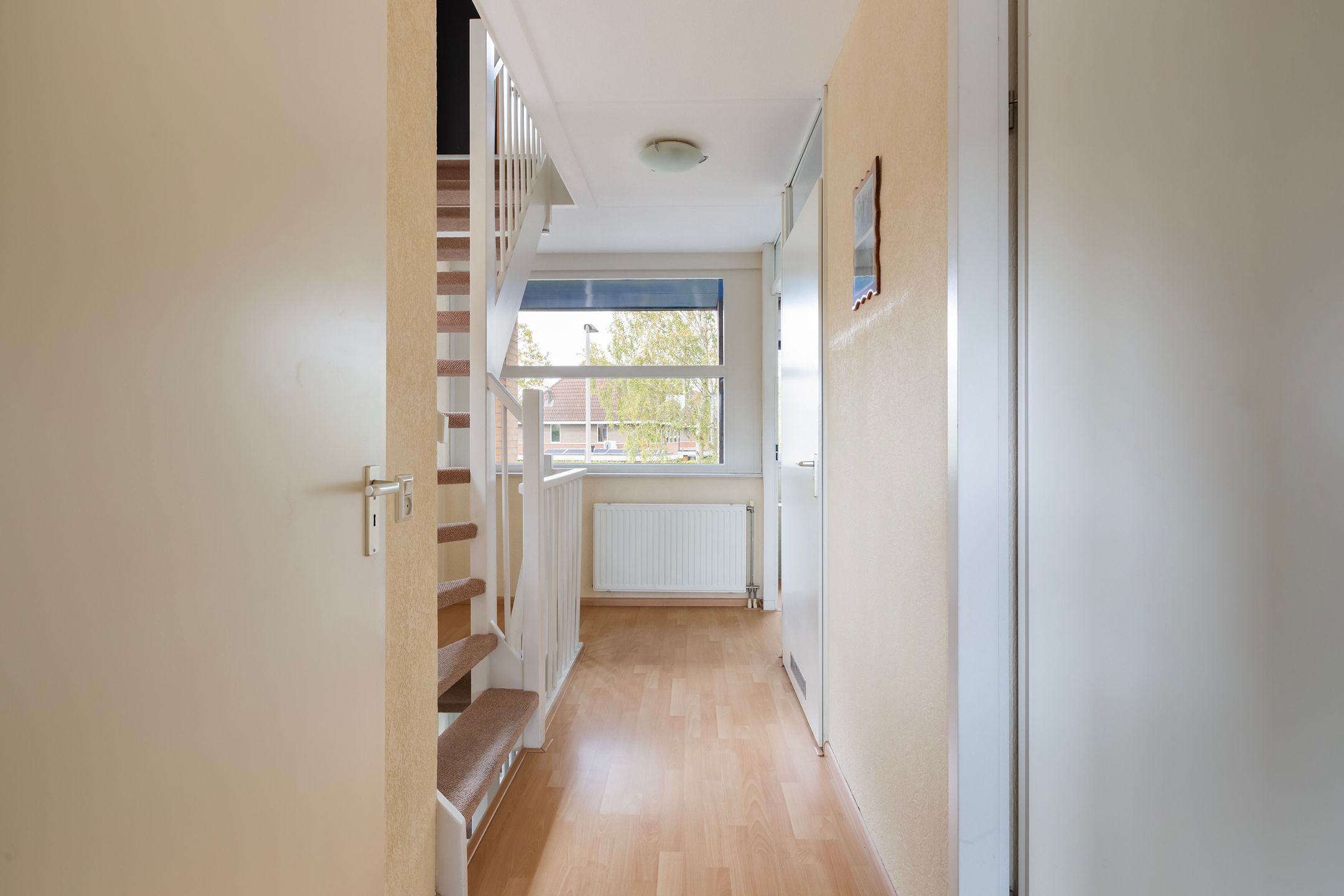 Photo 42 of Limes 25