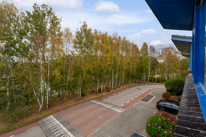 Foto 45 van Limes 25