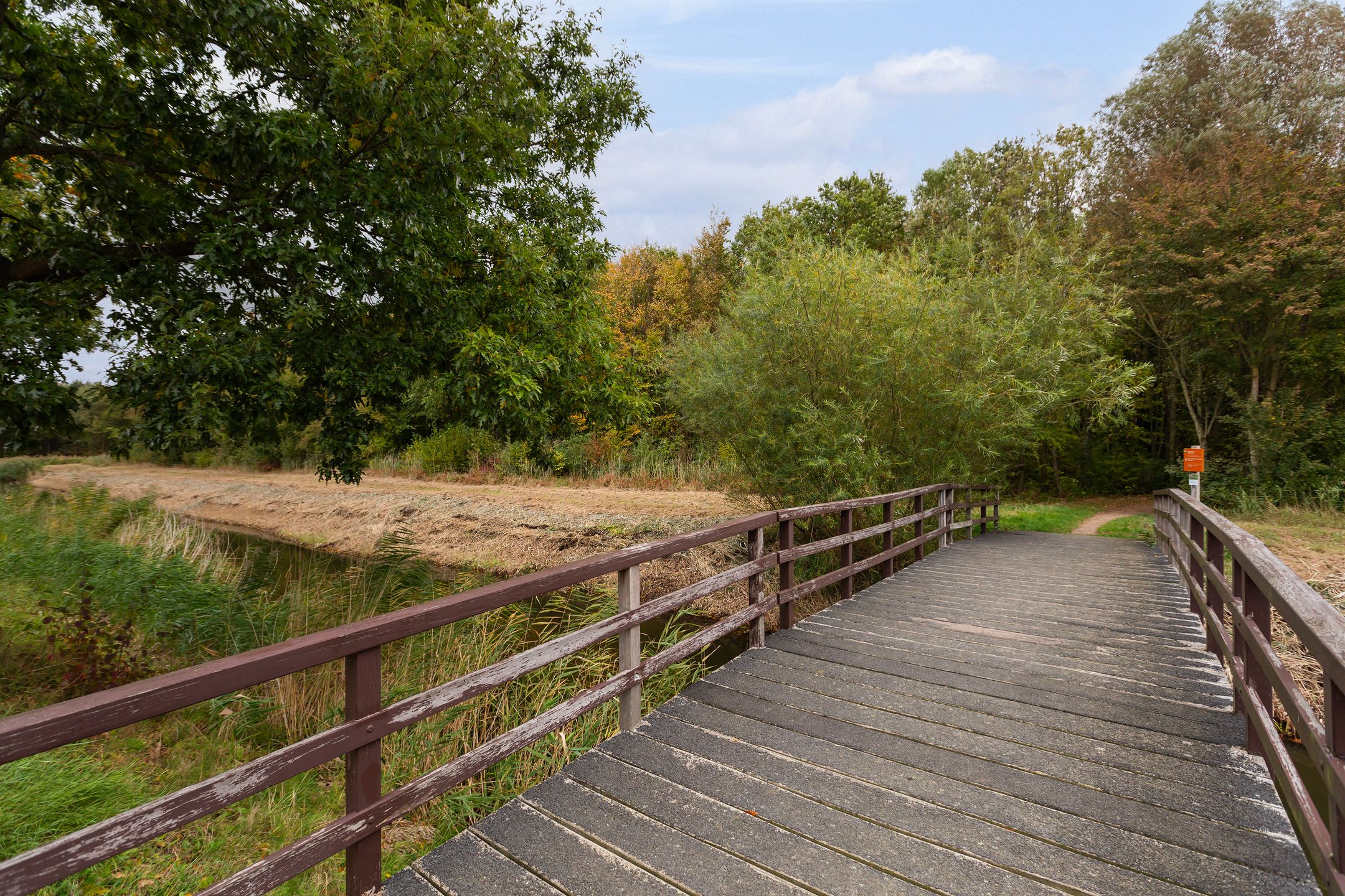 Photo 51 of Limes 25