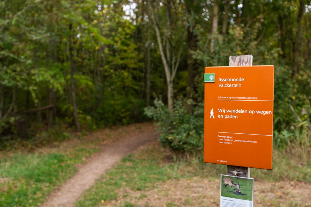 Photo 52 of Limes 25