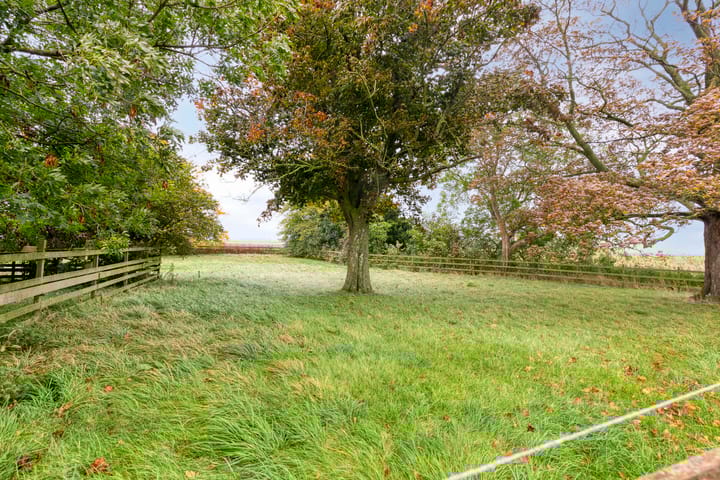 Foto 18 van Langeweg 1