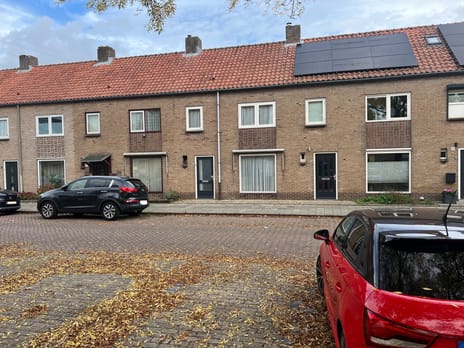 undefined main image