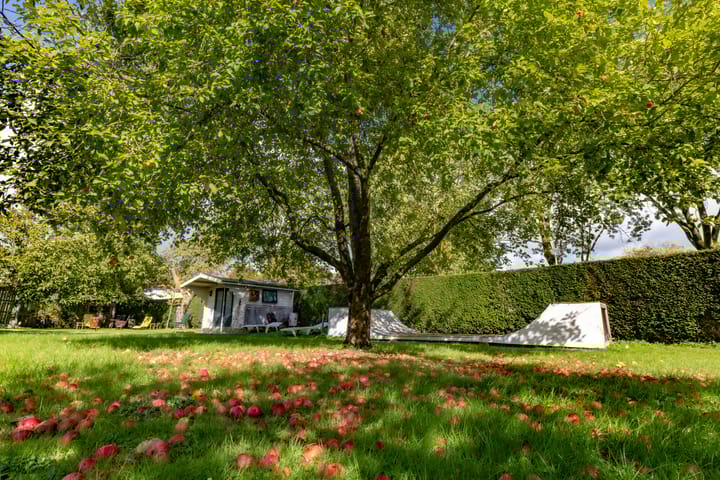 Foto 6 van Langstraat 10