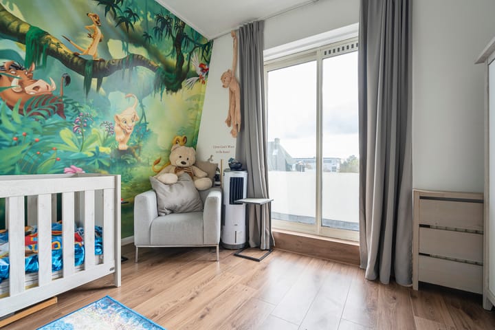 Foto 32 van Jan Steenstraat 9-A