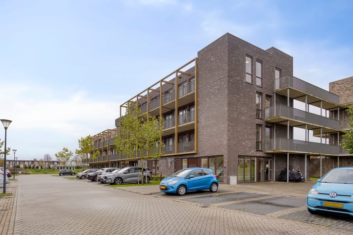 Foto 20 van Sumatraweg 234