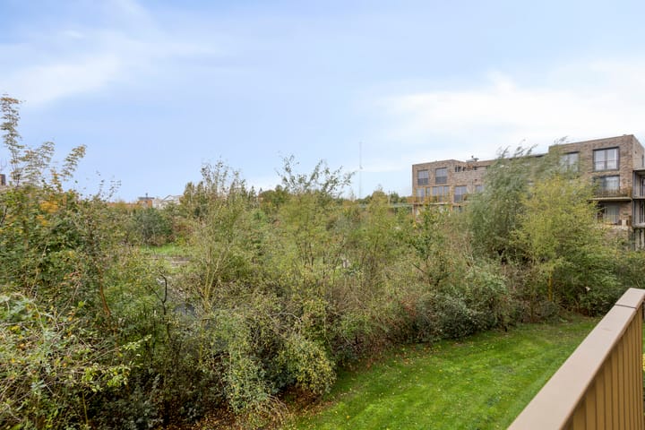 Foto 24 van Sumatraweg 234