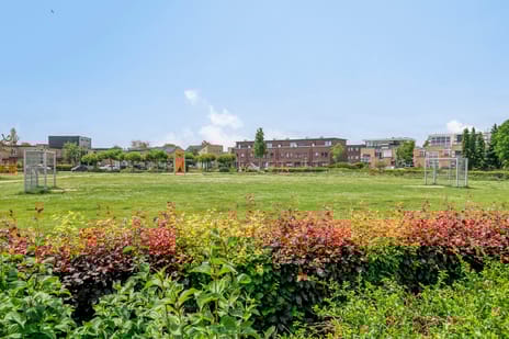 Wildeman 15 tertiary image