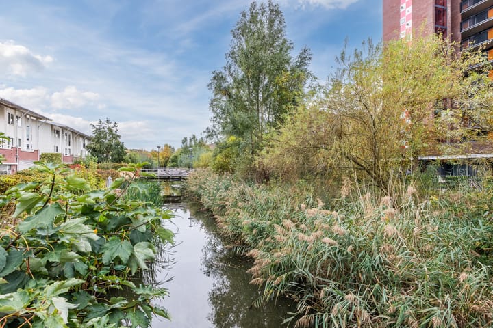 Photo 38 of Esplanade de Meer 129