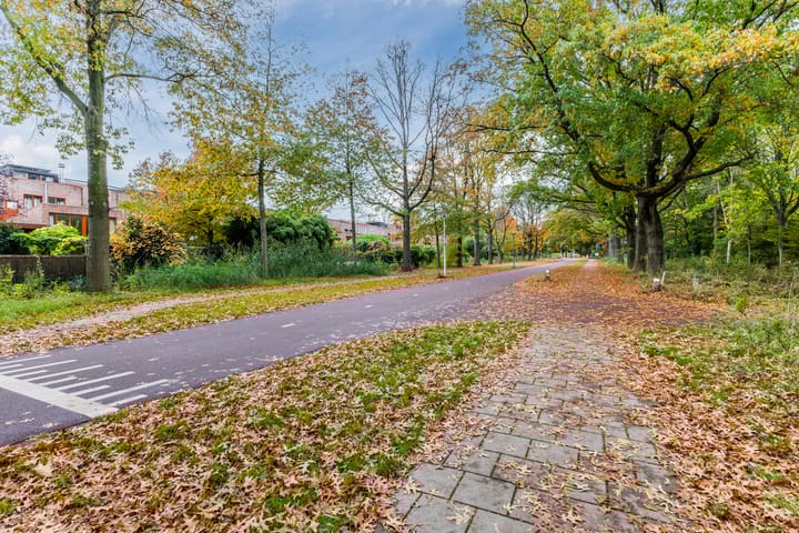 Photo 42 of Esplanade de Meer 129