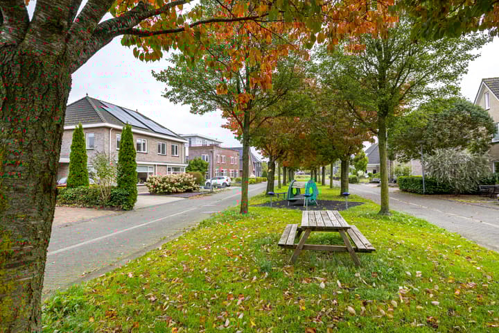 Photo 41 of Kenwerd 6