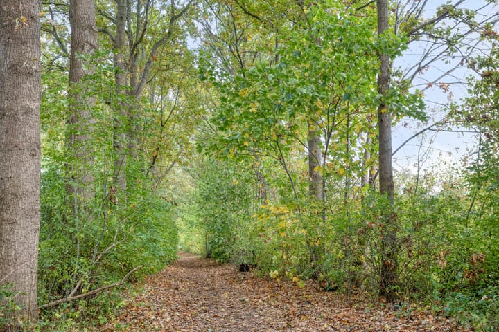 Foto 26 van Fintstraat 5