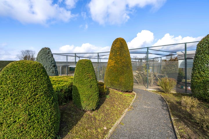 Photo 41 of Sint Sebastiaanskapelstraat 5-A