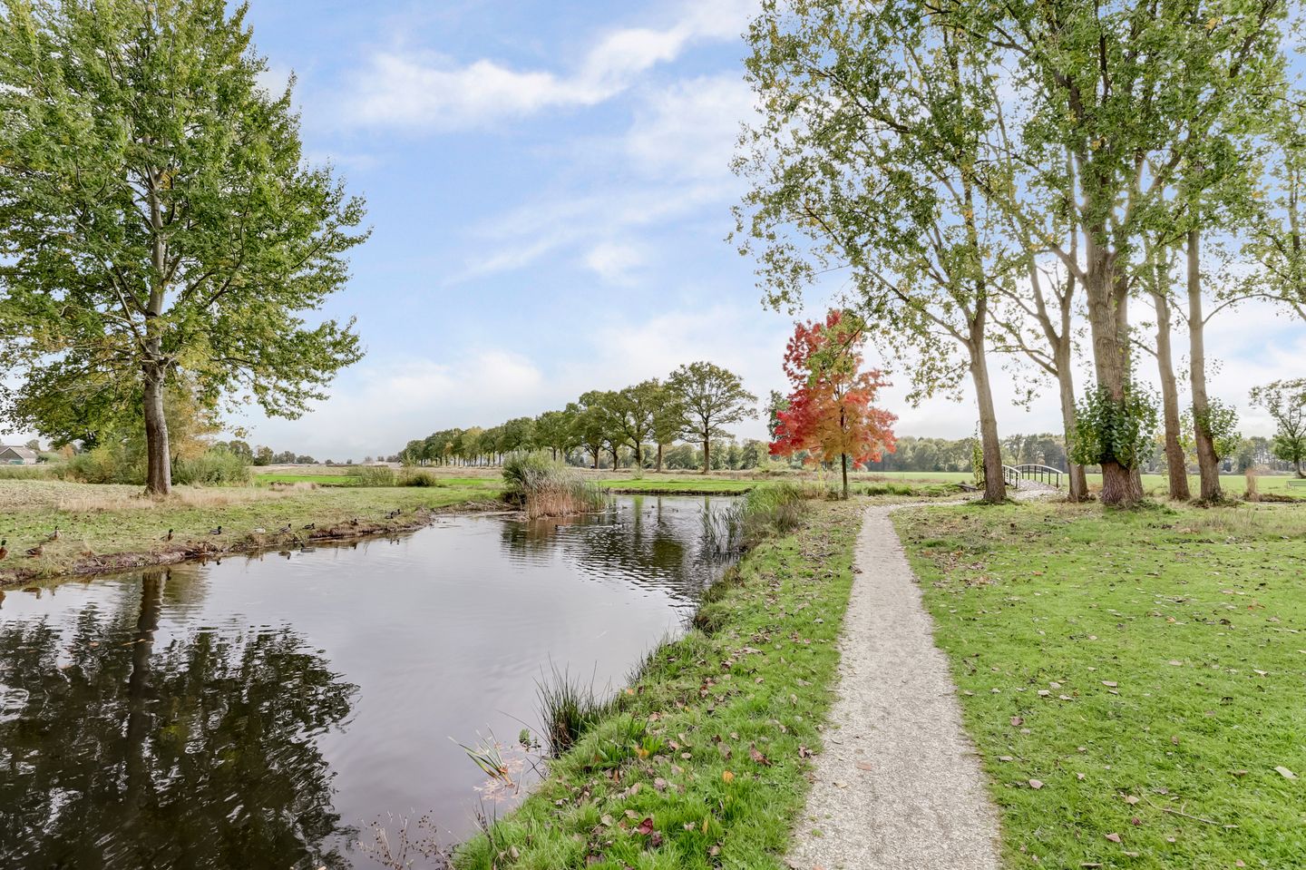 Foto 34 van Lepeltjesheide 59