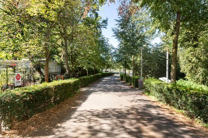 Foto 50 van Willemsparkweg 17