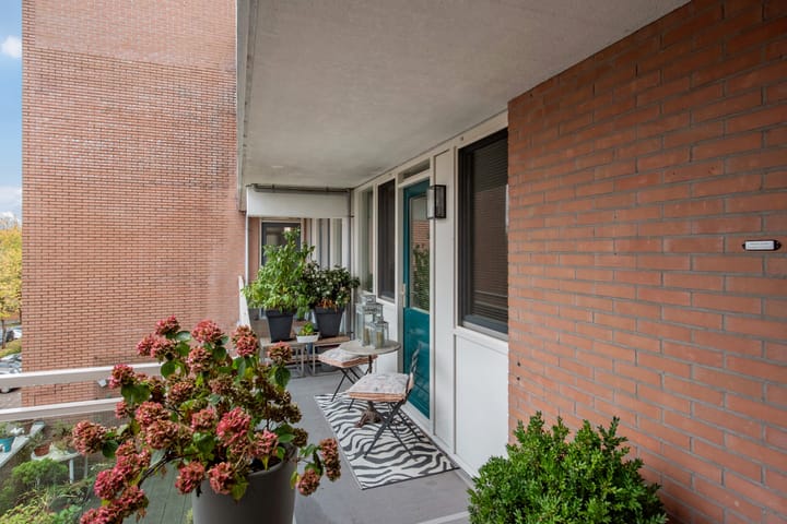 Photo 34 of Letland 18