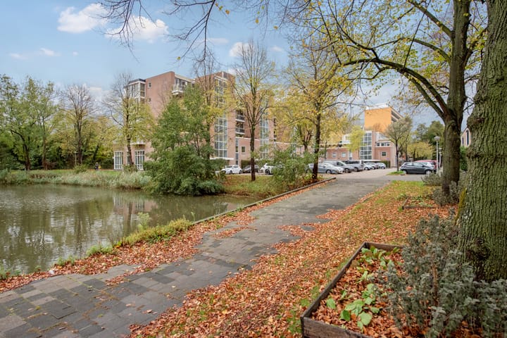 Photo 35 of Letland 18