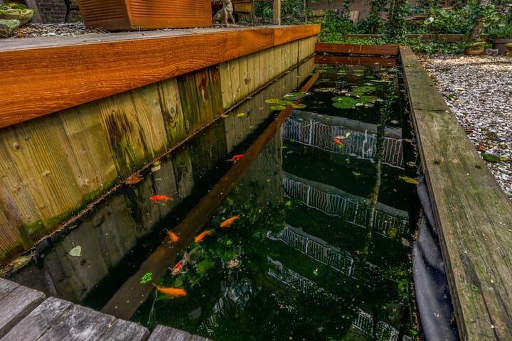 Foto 39 van Rochussenstraat 347-B