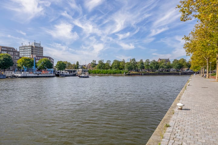 Foto 44 van Rochussenstraat 347-B