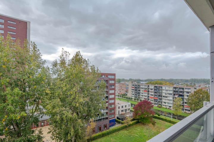 Foto 13 van Plein 1953 155