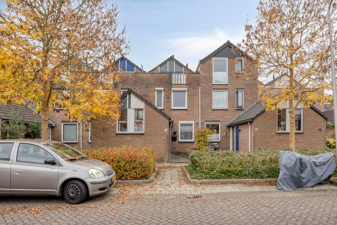 Foto 1 van Goudmos 59