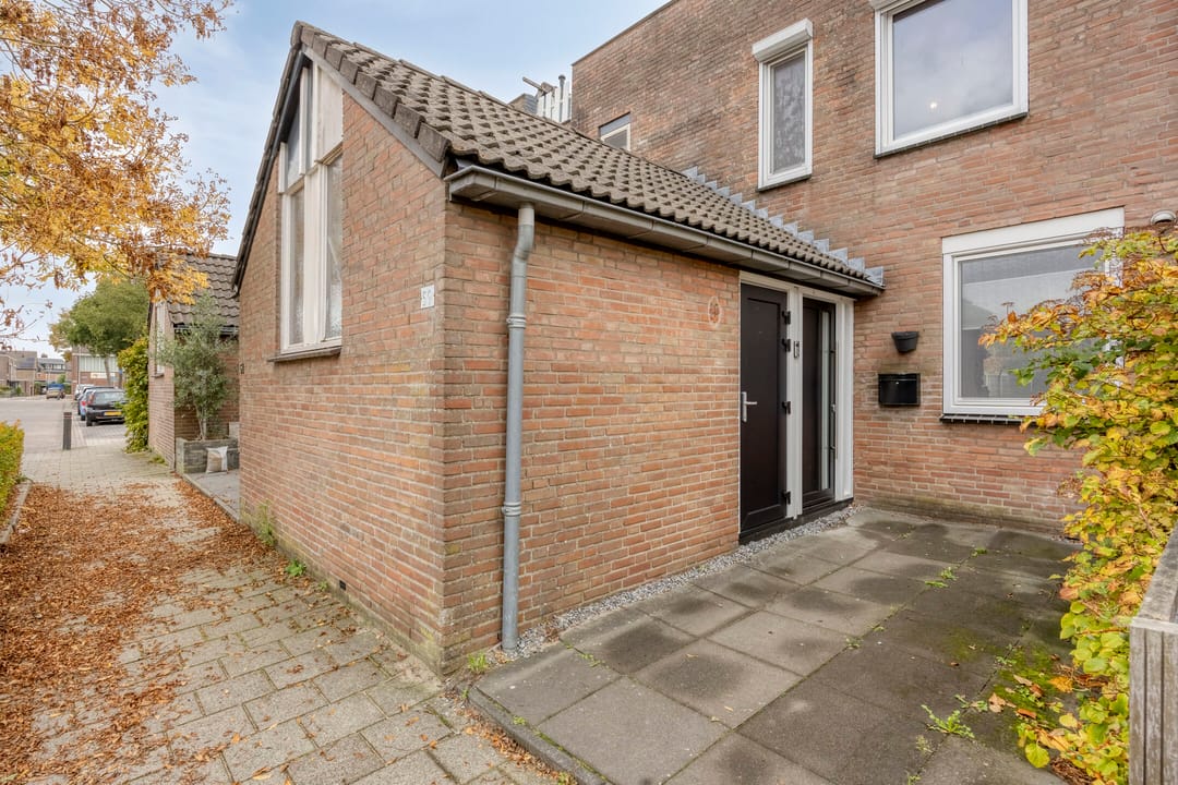 Foto 31 van Goudmos 59