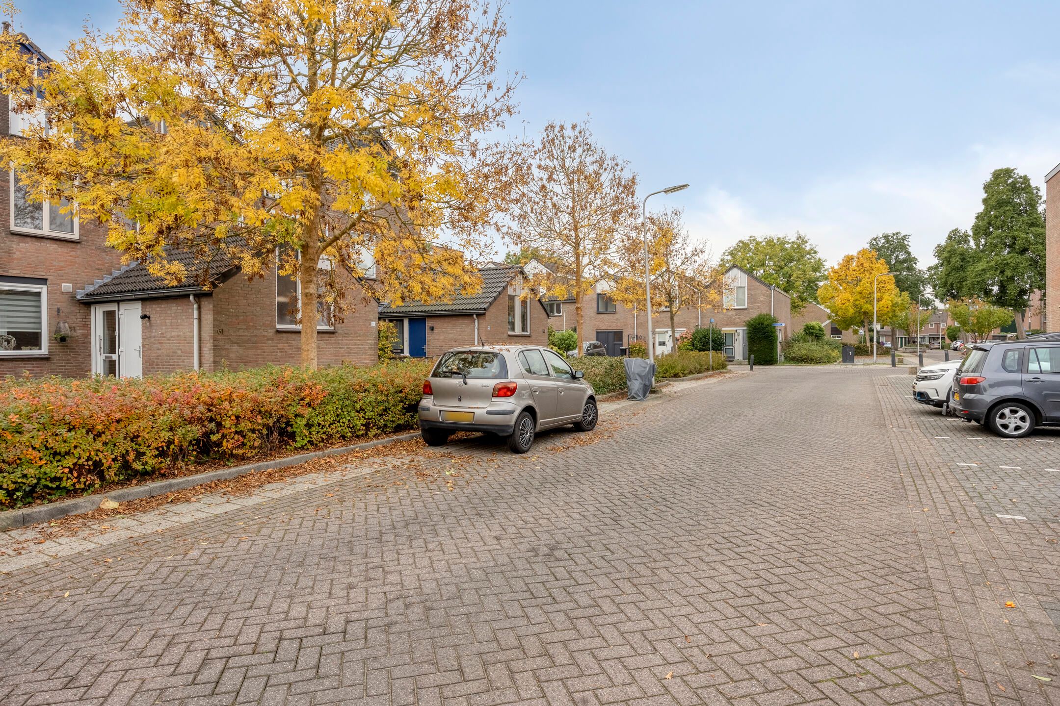 Foto 33 van Goudmos 59