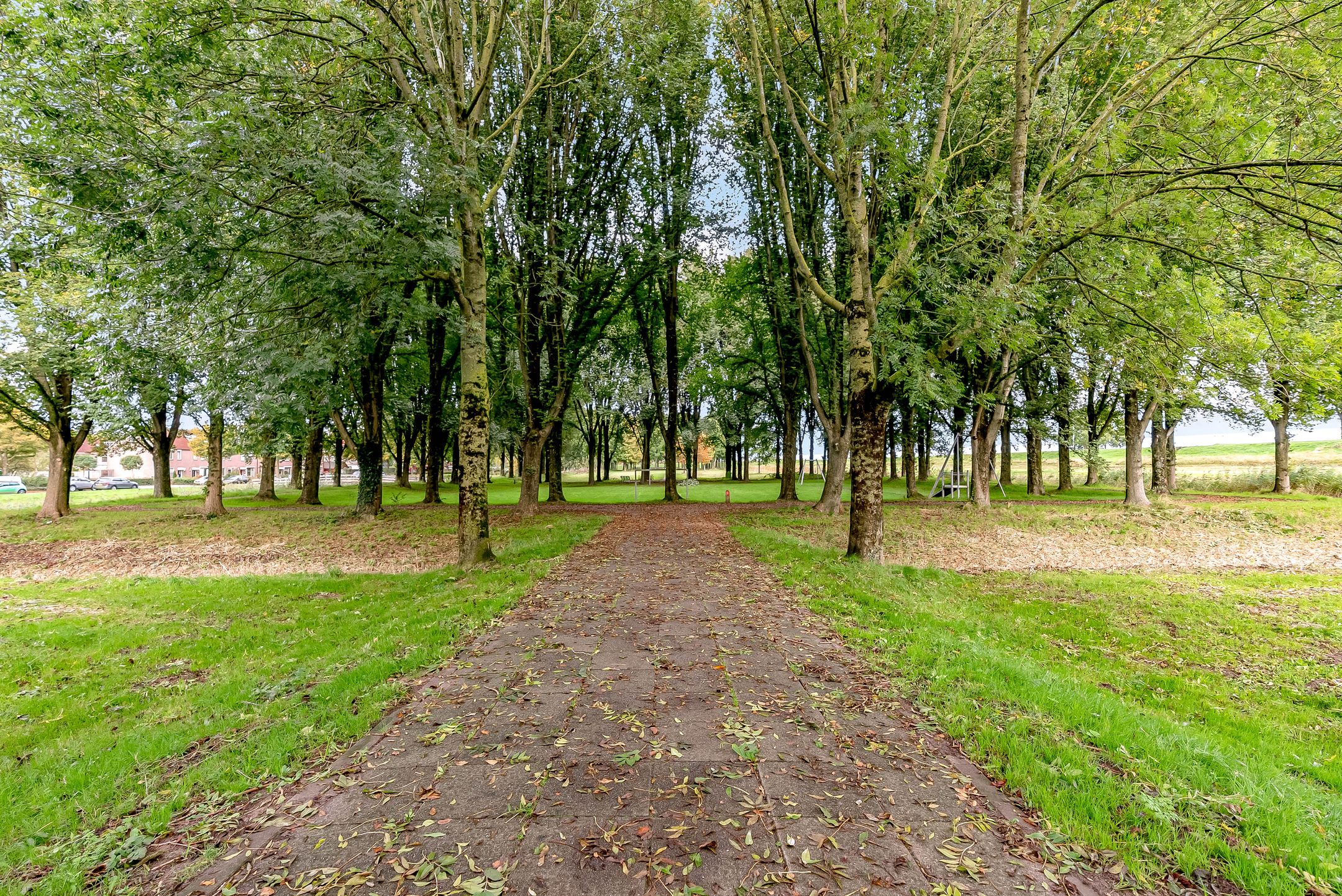 Photo 51 of Molenrak 4