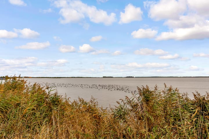 Foto 53 van Molenrak 4