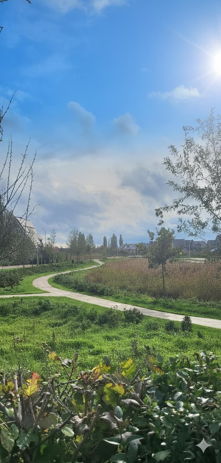 Foto 40 van Runmolen 13