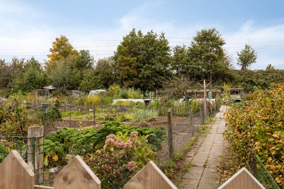 Foto 26 van Achter de Hoven 17