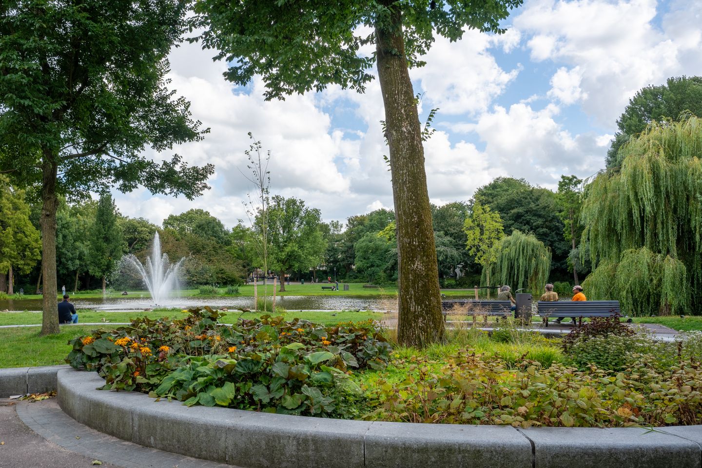 Foto 34 van Transvaalstraat 17-3