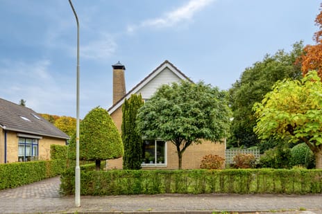 Tusseler 113 secondary image