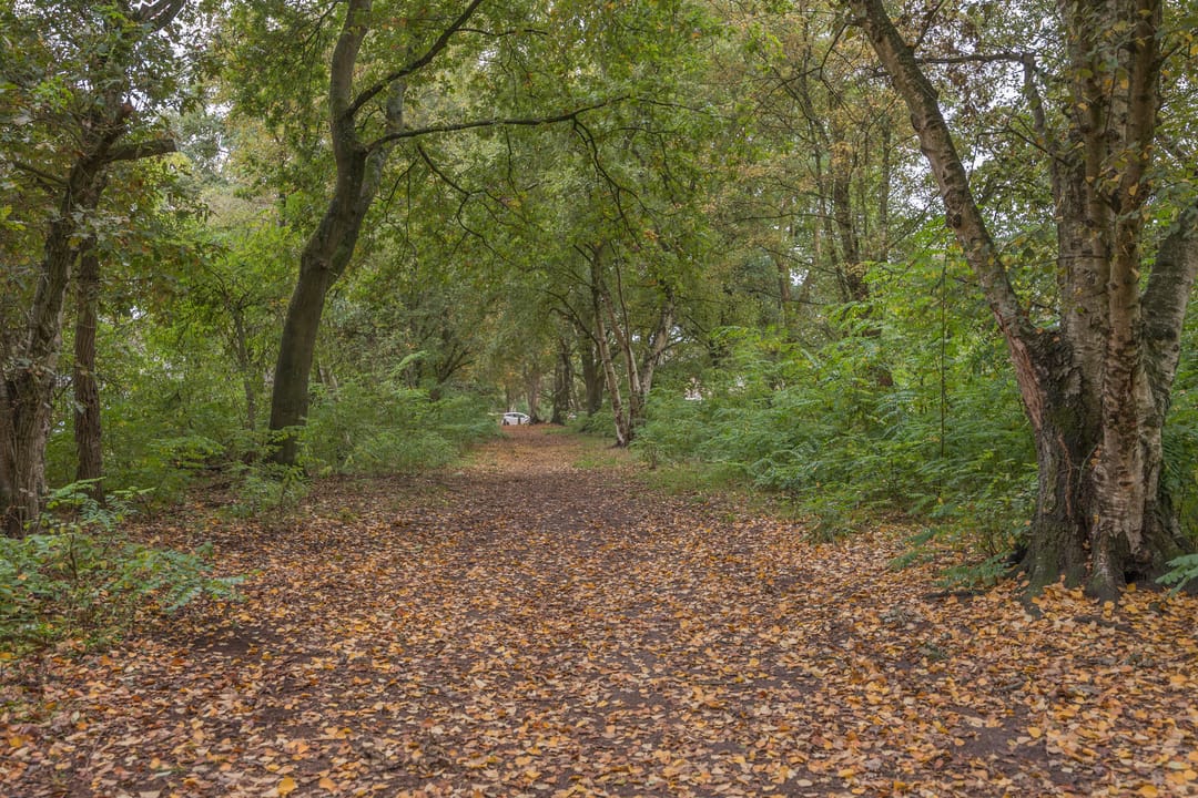 Foto 38 van Grevenbichtstraat 40