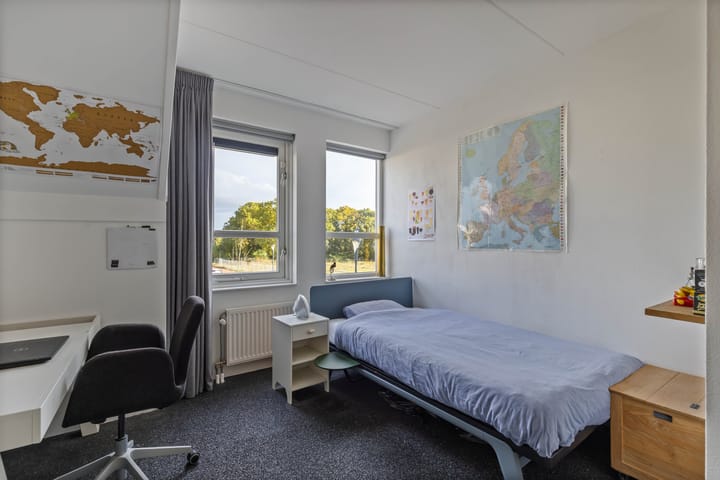 Foto 24 van Sergeant 24