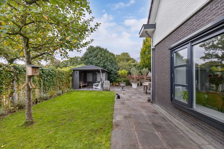 Foto 47 van Sergeant 24