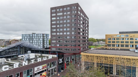 undefined main image